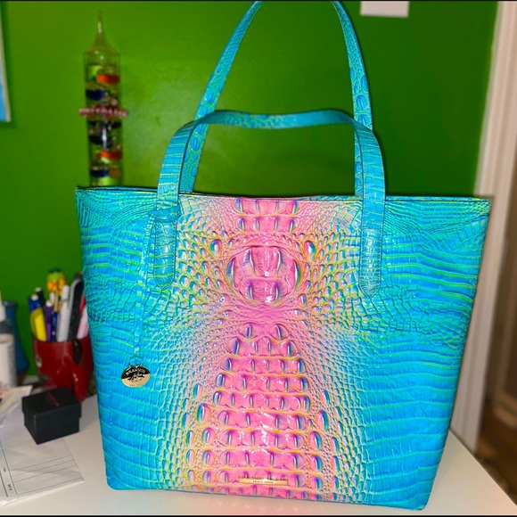cotton candy brahmin purse